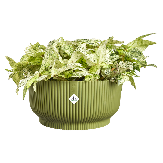 vibes fold bowl 25cm verde helecho